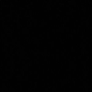 Meet your Posher, Alonza